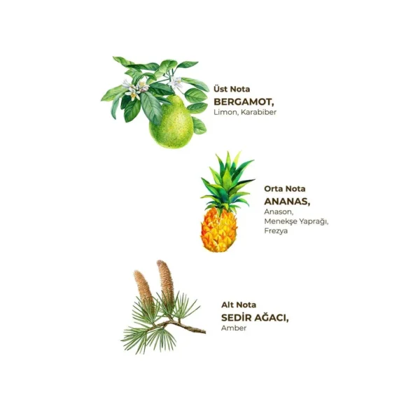 okyanus-kolonyasi-1-lt-koruma-kilitli---a740-